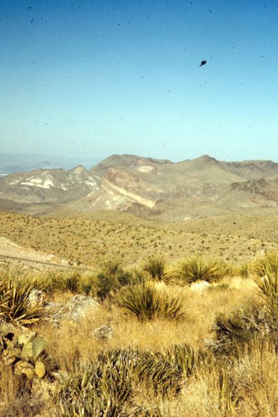 Legal update placeholder