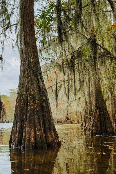 Legal update placeholder