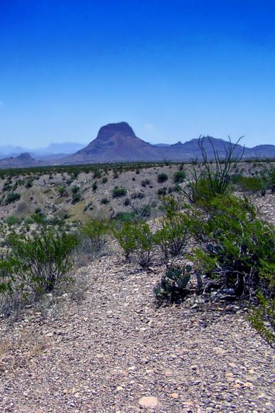 Legal update placeholder